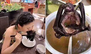 Bat soup.jpg