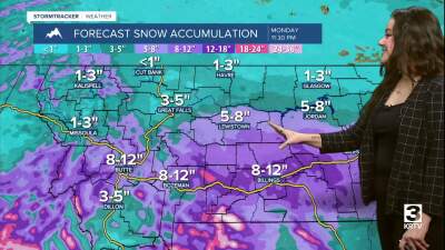 Poster image (5).jpg