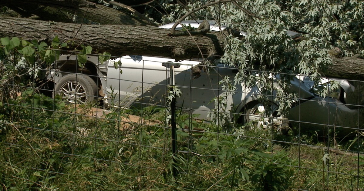 Southwest Michigan residents grapple with damage left by severe storms