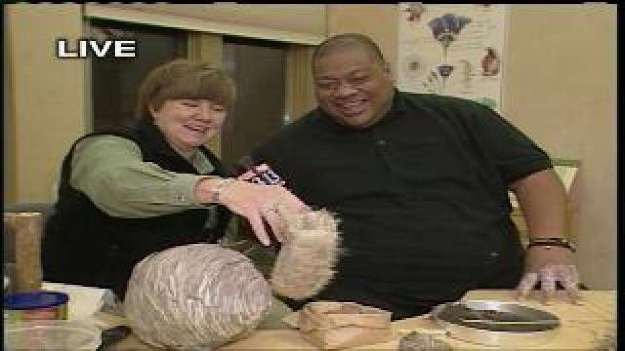 ‘Animal Abodes’ part of spring break camps