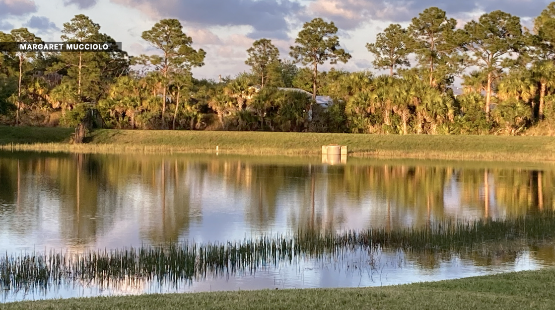 Screenshot 2026-04-28 at 3.45.41 AM.png