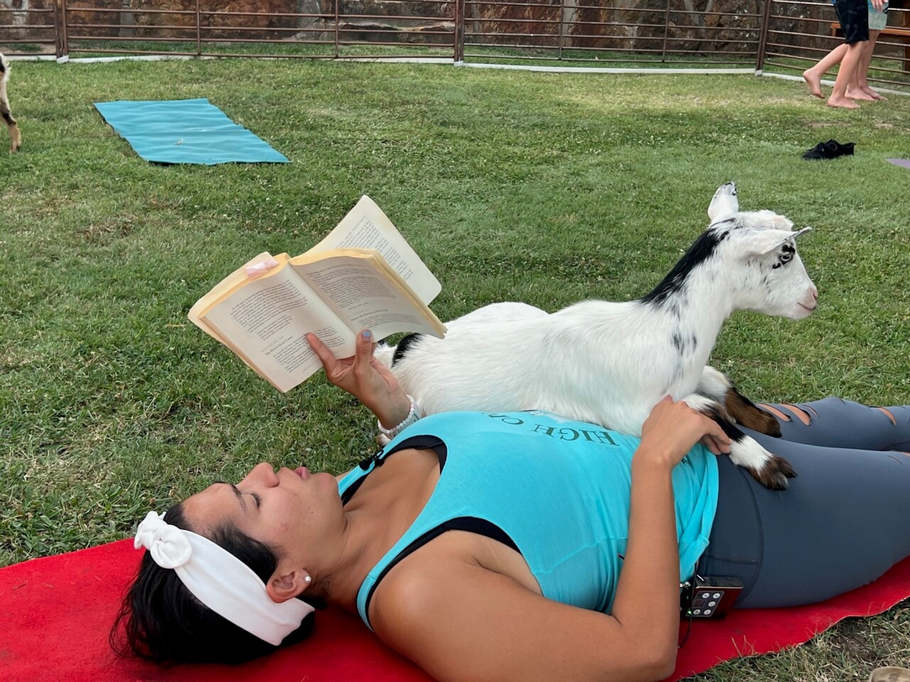Goat Yoga Instructor