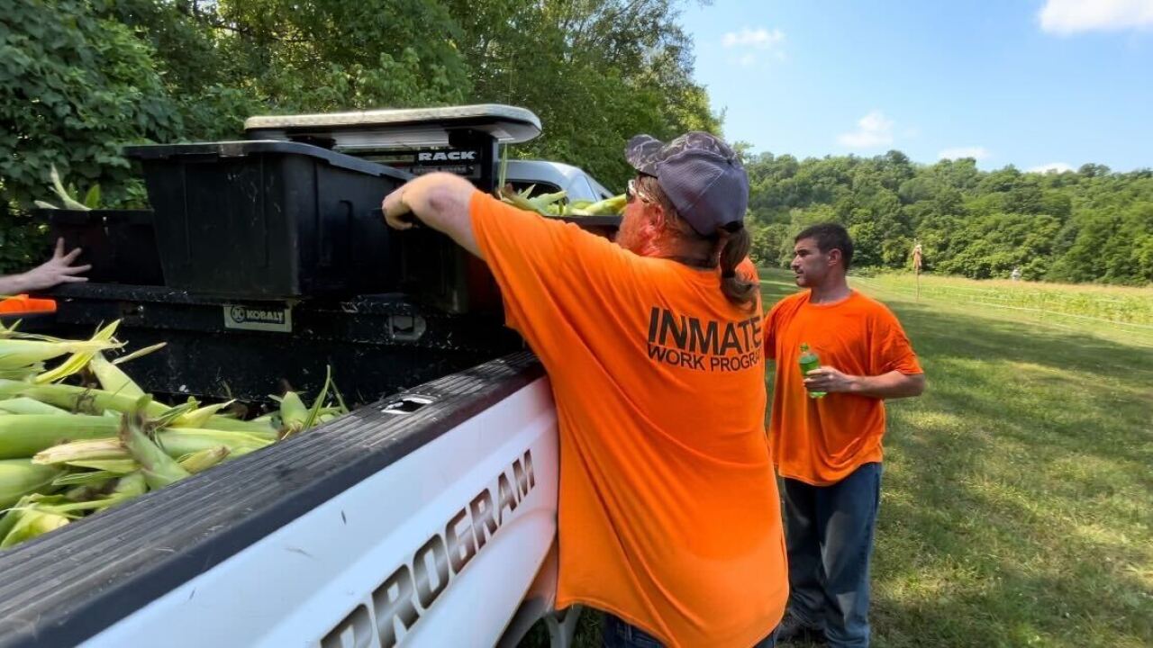 Jessamine County Jail inmates feeding community fresh from the garden