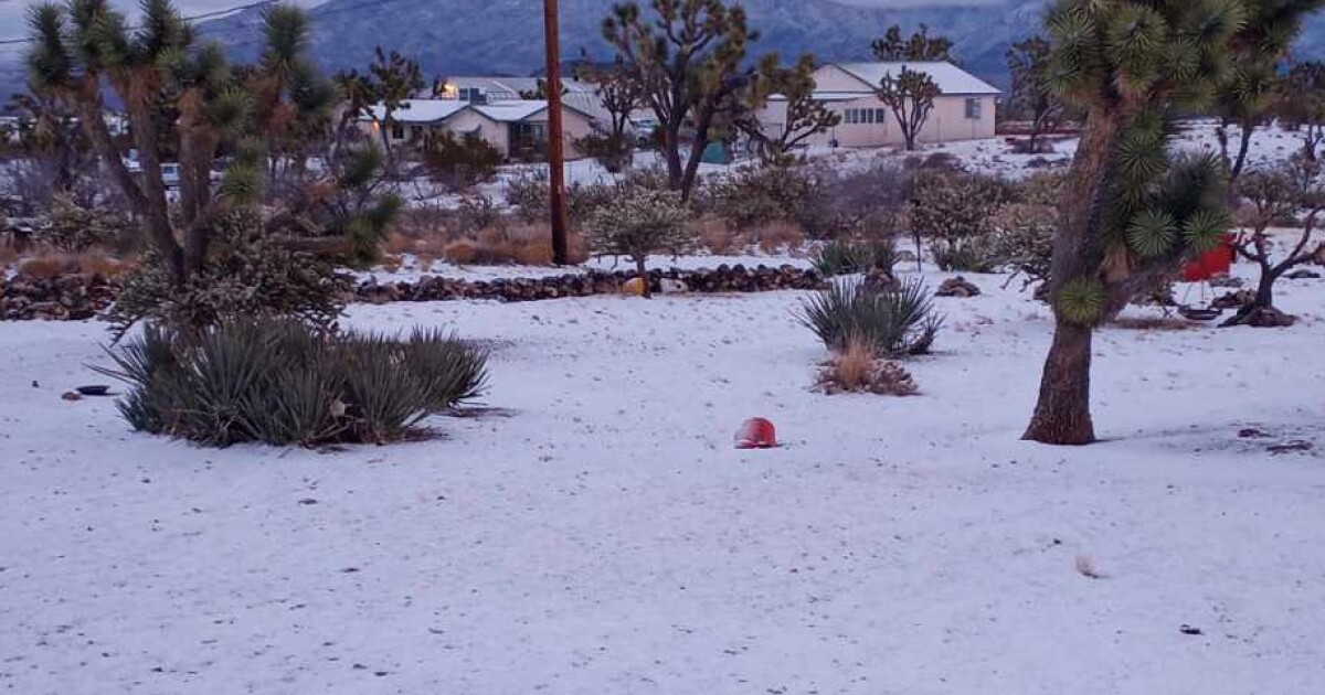 Another round of freezes before the next winter storm brings more rain and snow - Vimarsana News