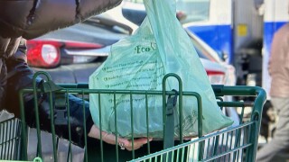 plastic bag ban.jpg