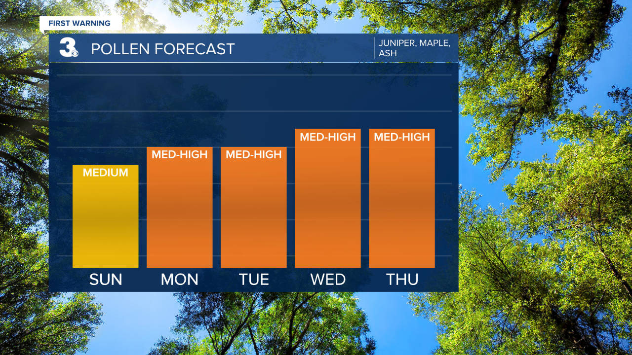 Pollen Bar Graph.png