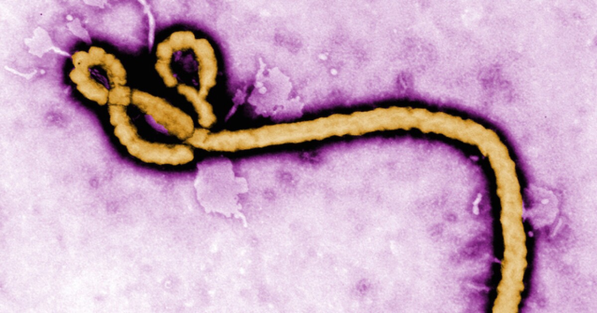 Ask Dr. Nandi: What you need to know about the latest Ebola outbreak