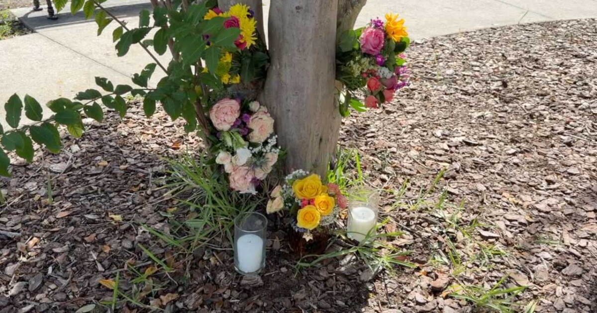 Safety Harbor rallies around memory of woman killed, encourages community to wear purple