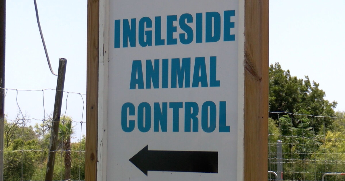 Lease dispute causing Inlgeside Animal Shelter to close; animals needing shelter - Vimarsana News
