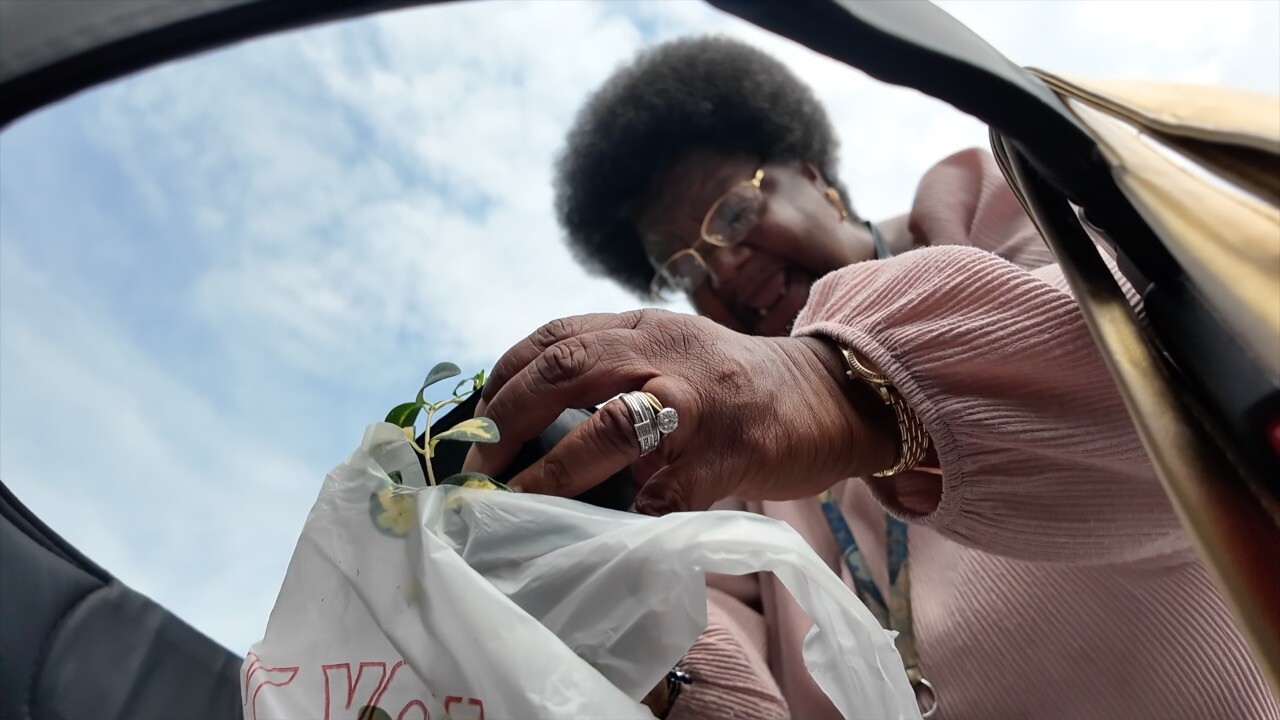 Untitled Project2.jpg