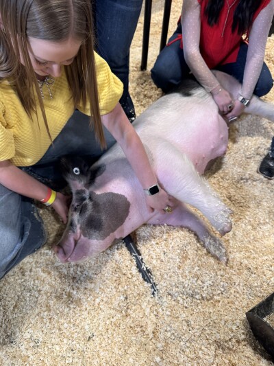 National Western Stock Show.jpeg