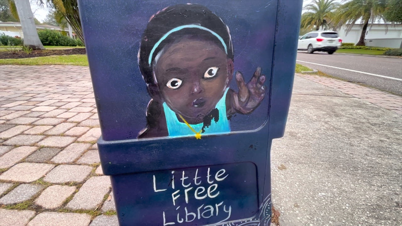 Sulwe St. Pete little free libraries Stassy Olmos WFTS.png