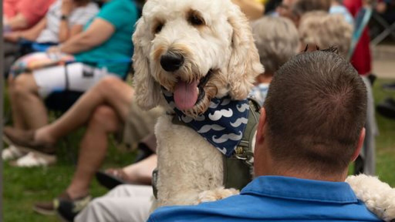 Dog.jpeg