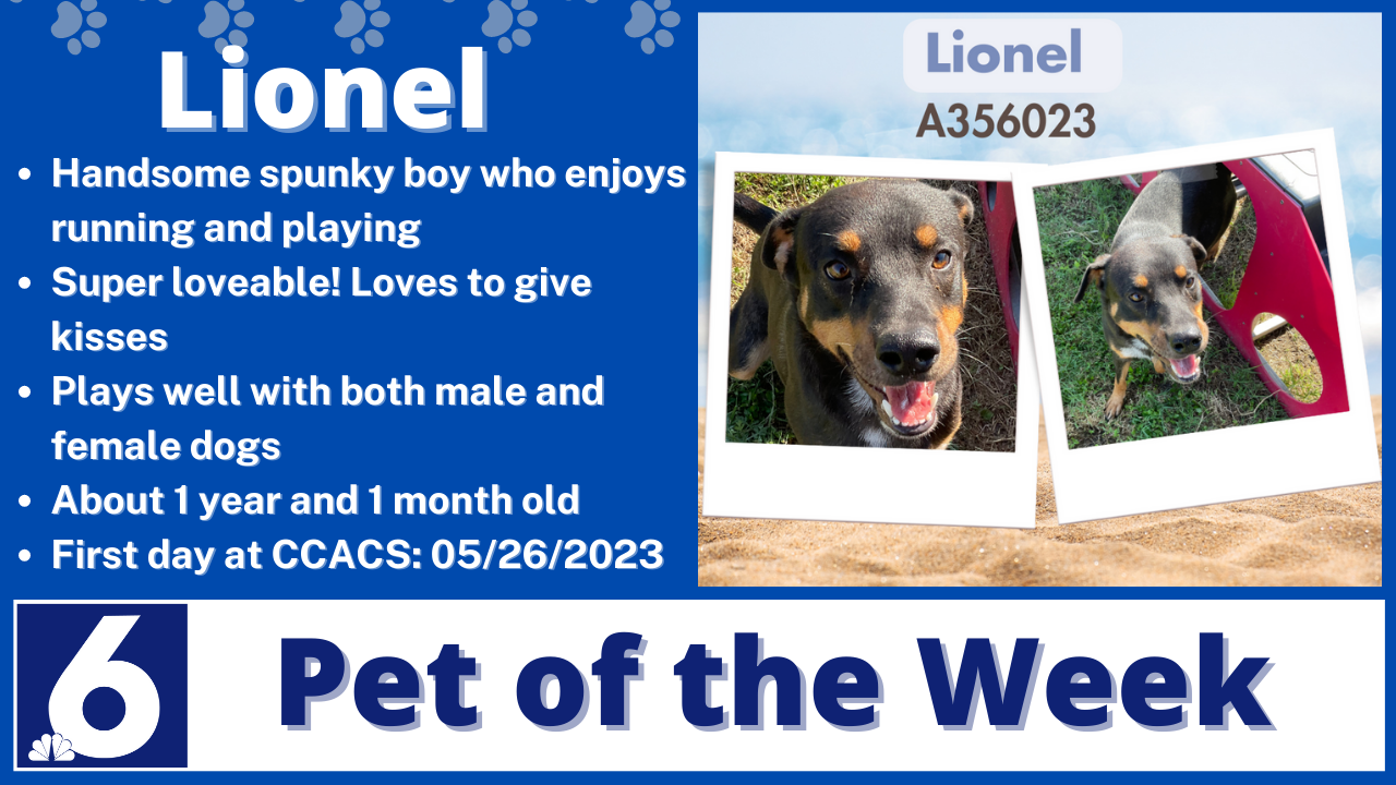 Pet Of The Week: Lionel