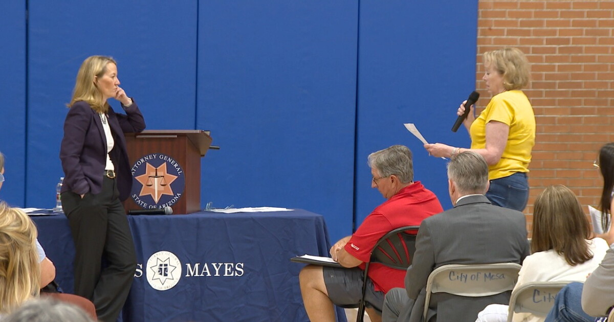 'A very serious health concern': Opponents to Ahwatukee data center share worries at town hall