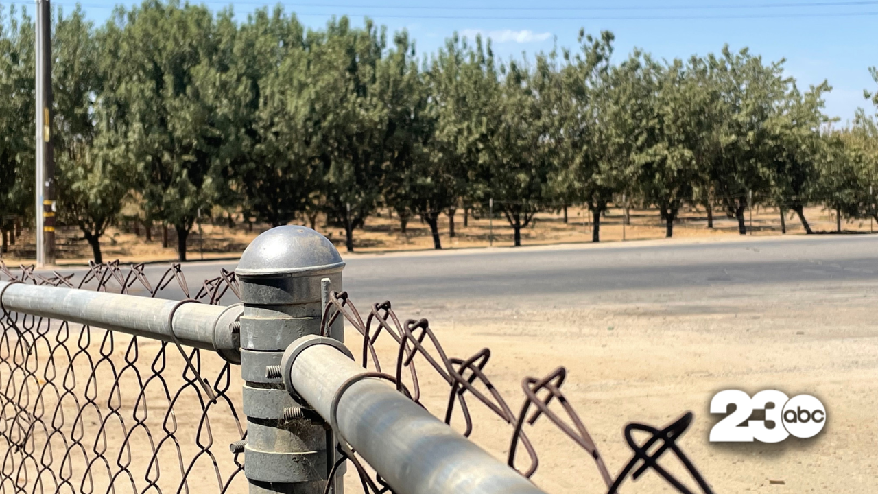 Almond Grove, Bakersfield (FILE)