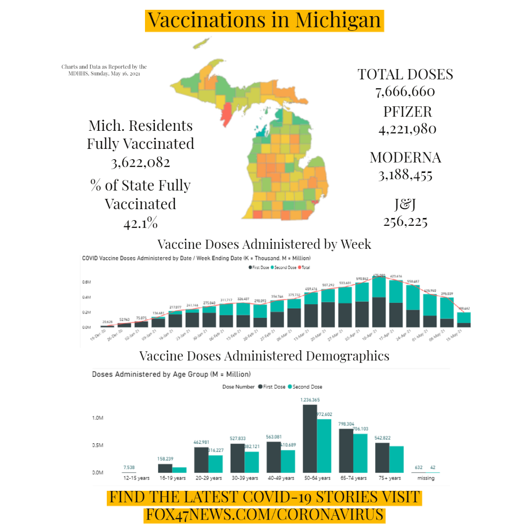 Michigan Vaccination Rates