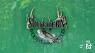 Southern Woods and Waters: Don Fox Trout Stocking (P5)