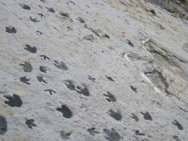 Commissioners debate Dinosaur Ridge rezoning