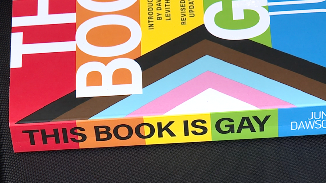 This Book is Gay WFTS 2.png