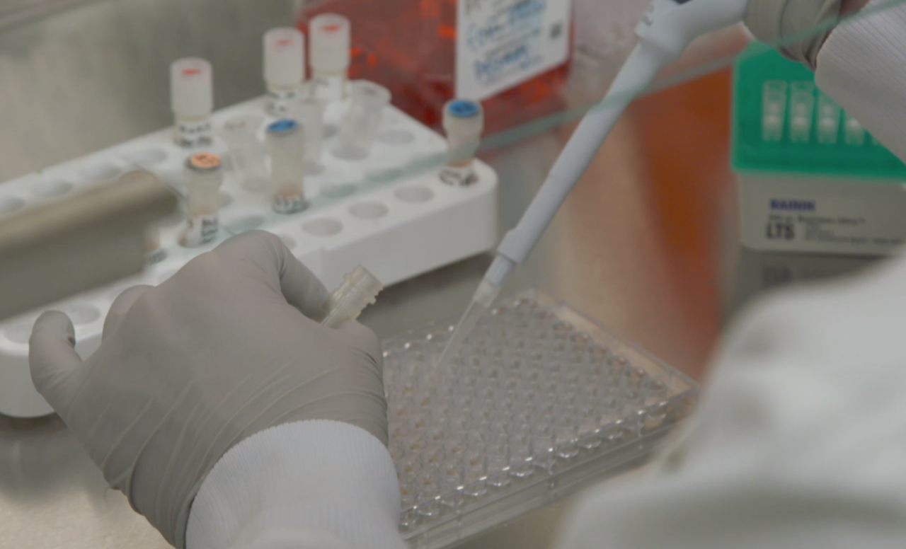 Lab employee testing for coronavirus