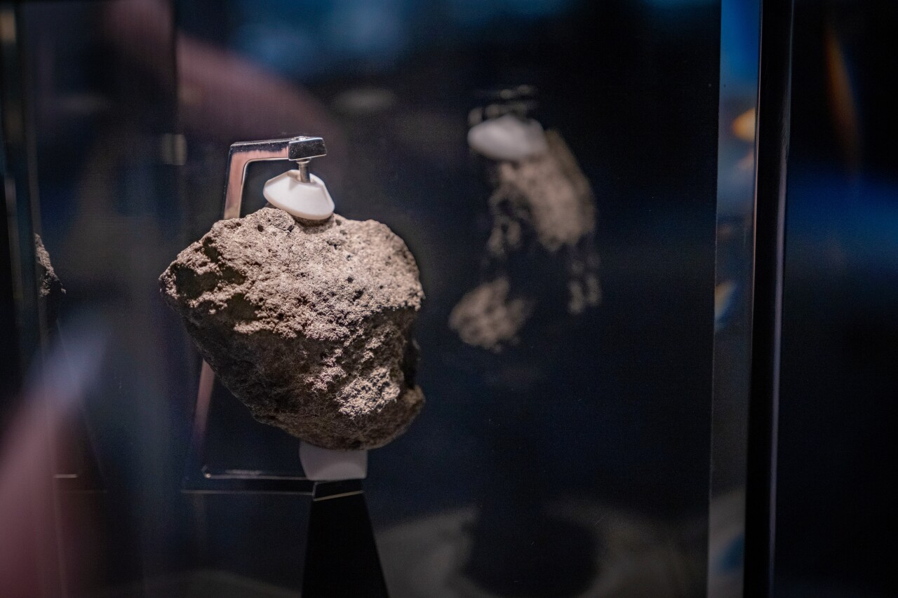 Hidden Gems - Cleveland Museum of Natural History 8.jpg