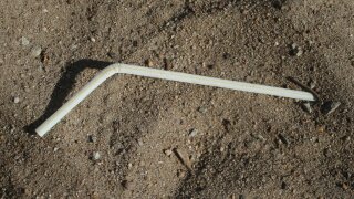 A discarded plastic straw lies on a beach.