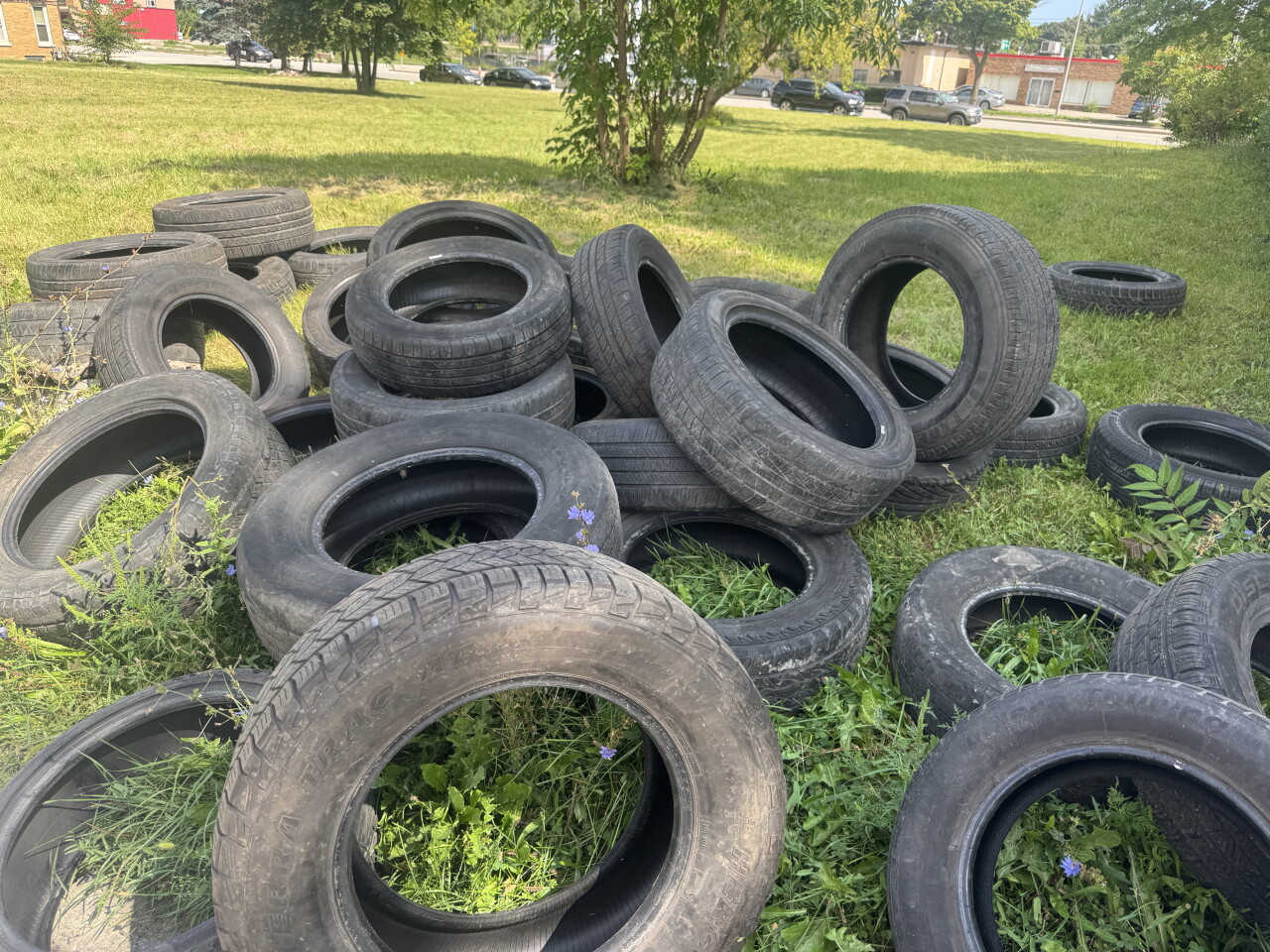 Tires dumped on Kathy's property. 