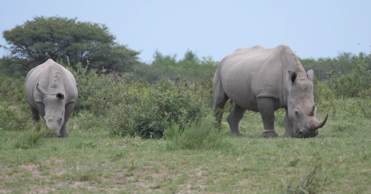 Utah Democratic Party Urges ‘RINOs’ to Rejoin the Fold