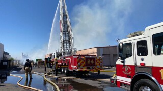 Cactus Container Van Buren Fire