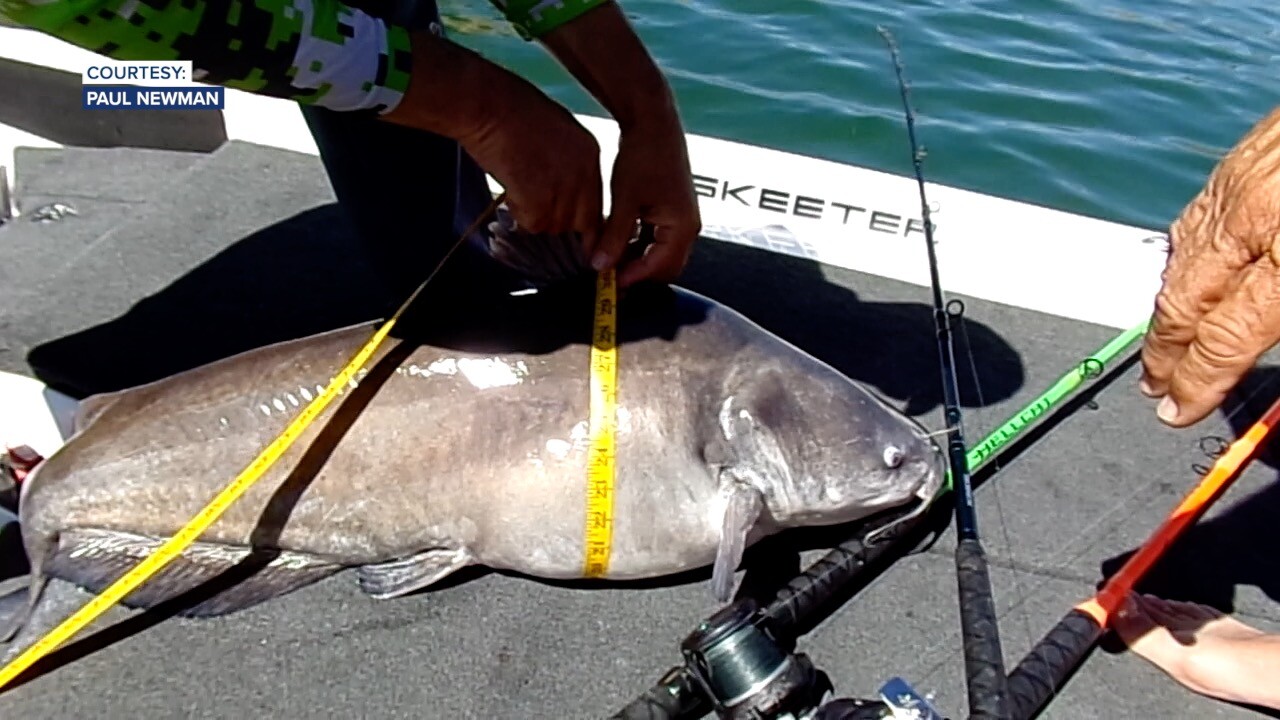 Outdoors: Catfish contains weird catch at New Melones — a snake