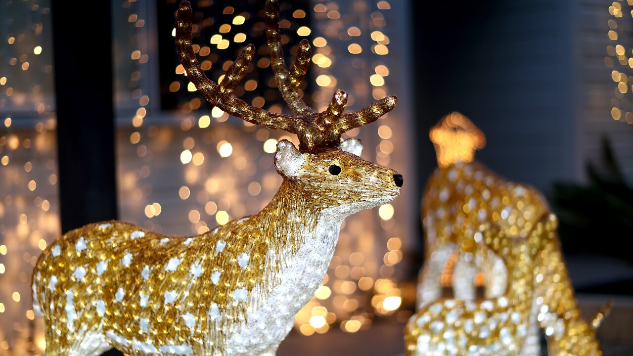 Kansas City Holiday Light Displays Where To Go What To See In The Metro Christmas In The Barn 2021 Kc