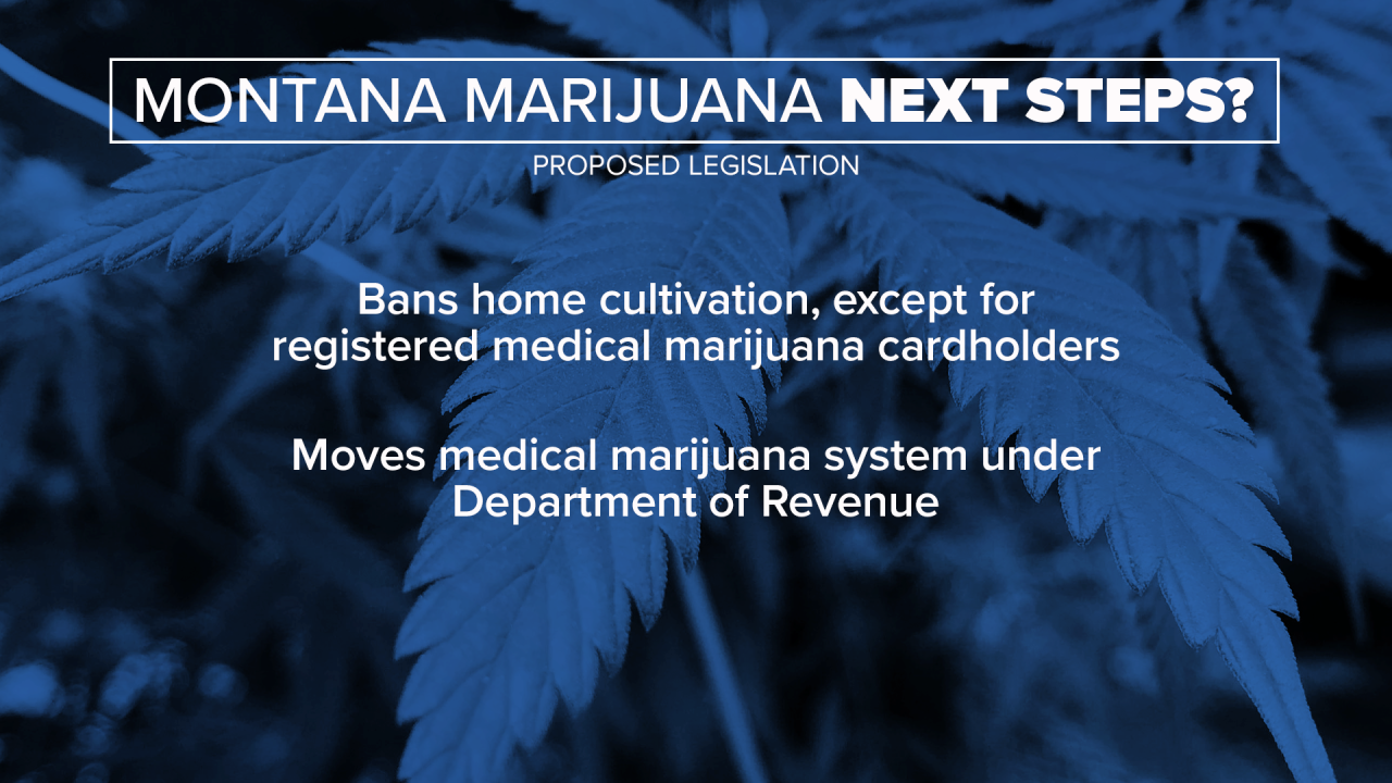 marijuana next steps