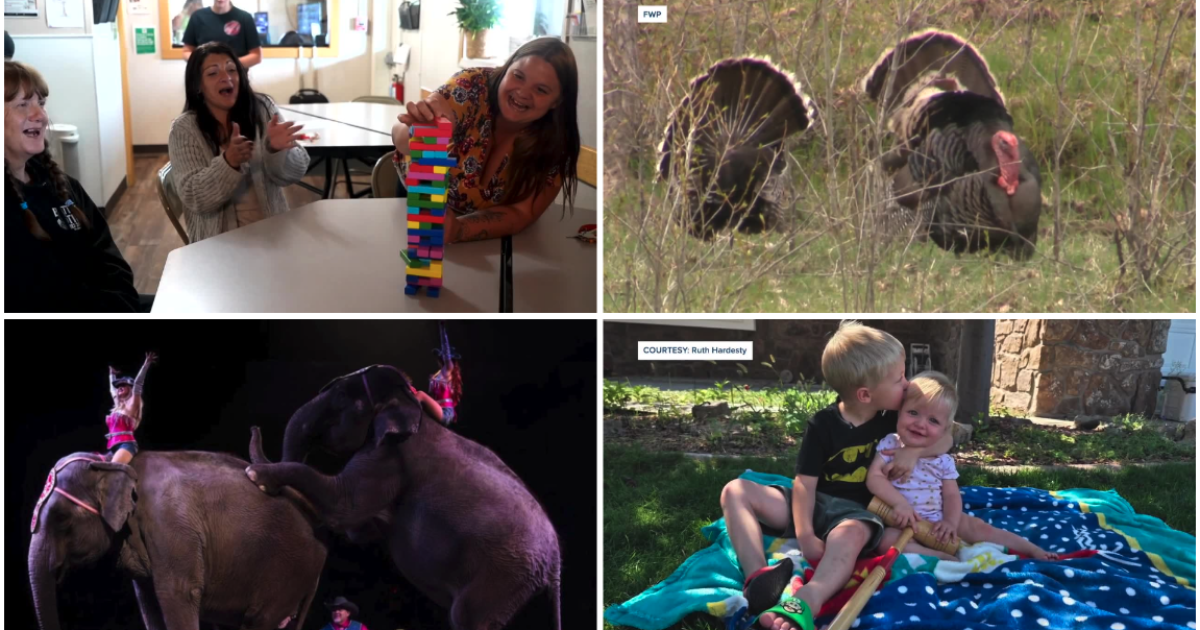 Manchetes de terça-feira: 14 de abril de 2026