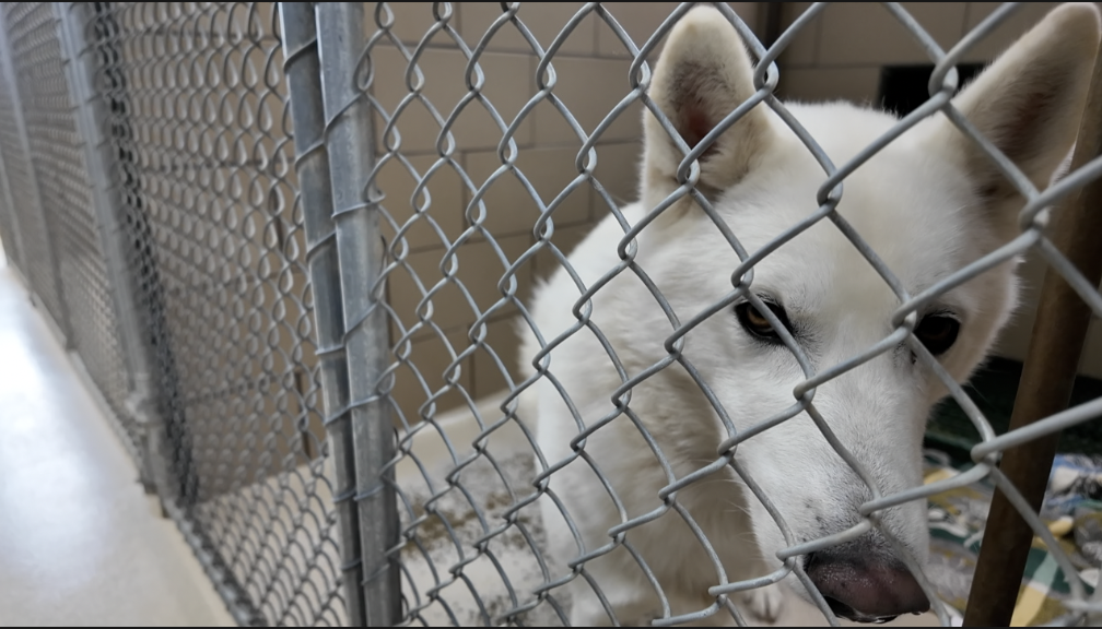 Screenshot 2025-12-03 at 6.10.13 PM.png