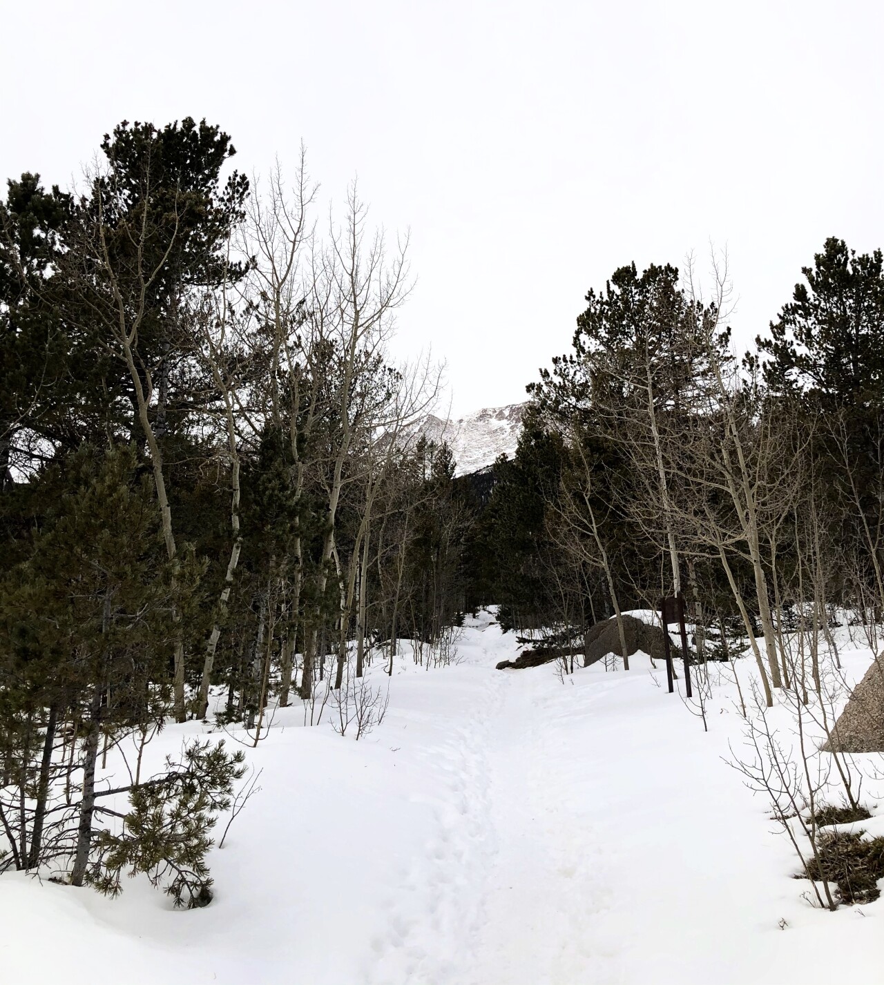 Pikes Peak from Barr Trail