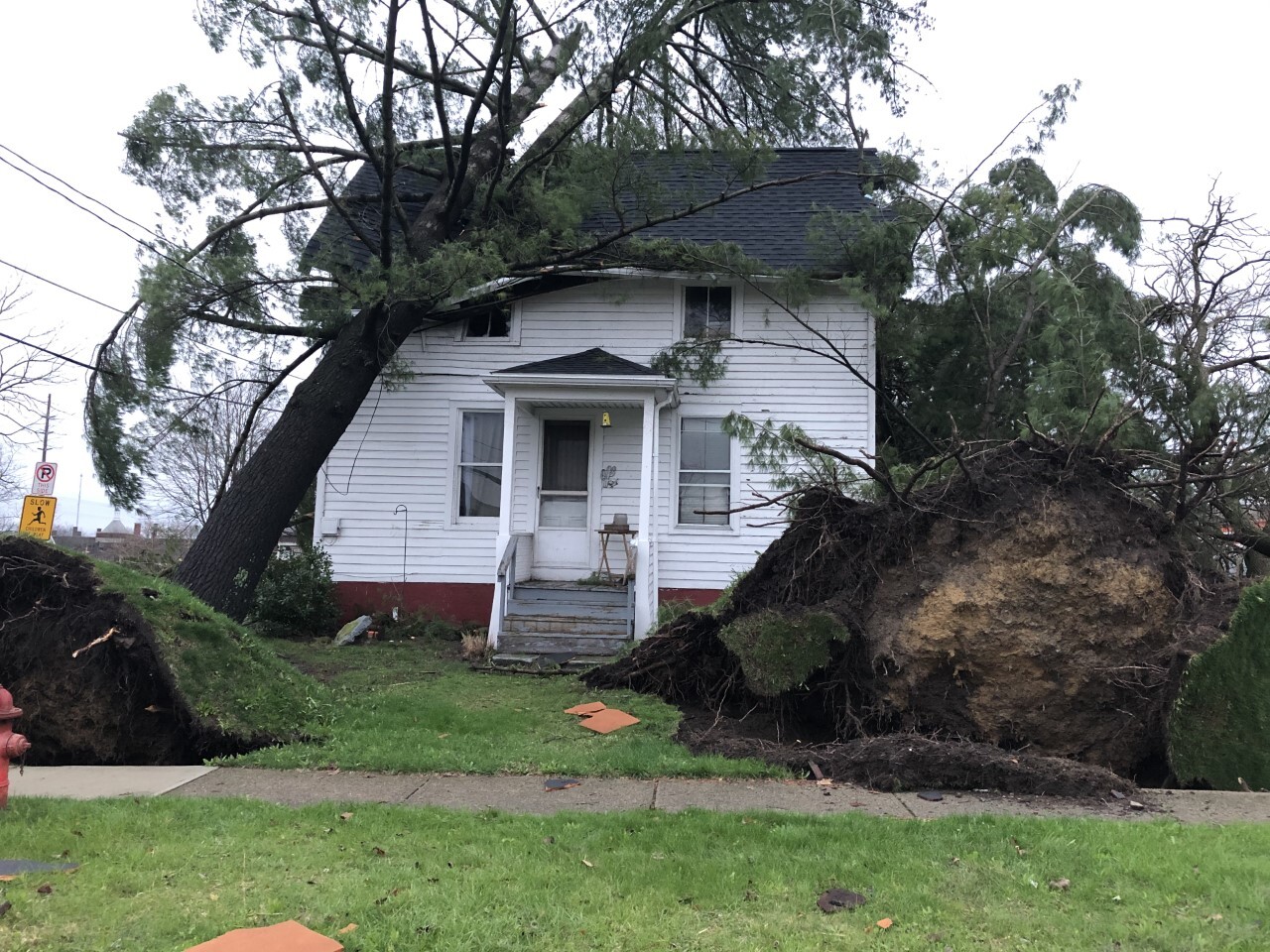 Daylight pictures of storm damage in Medina County.