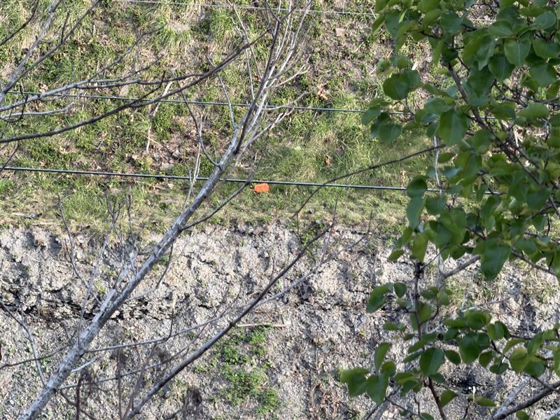 EKCC installs new fence