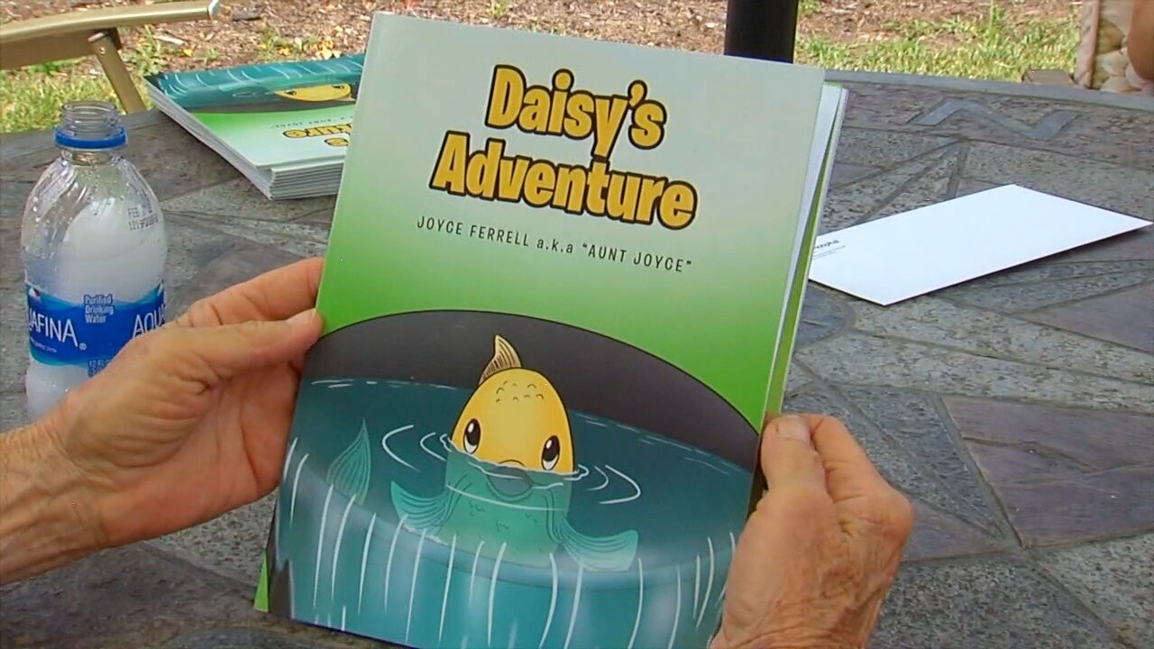 Daisey's Adventure Book