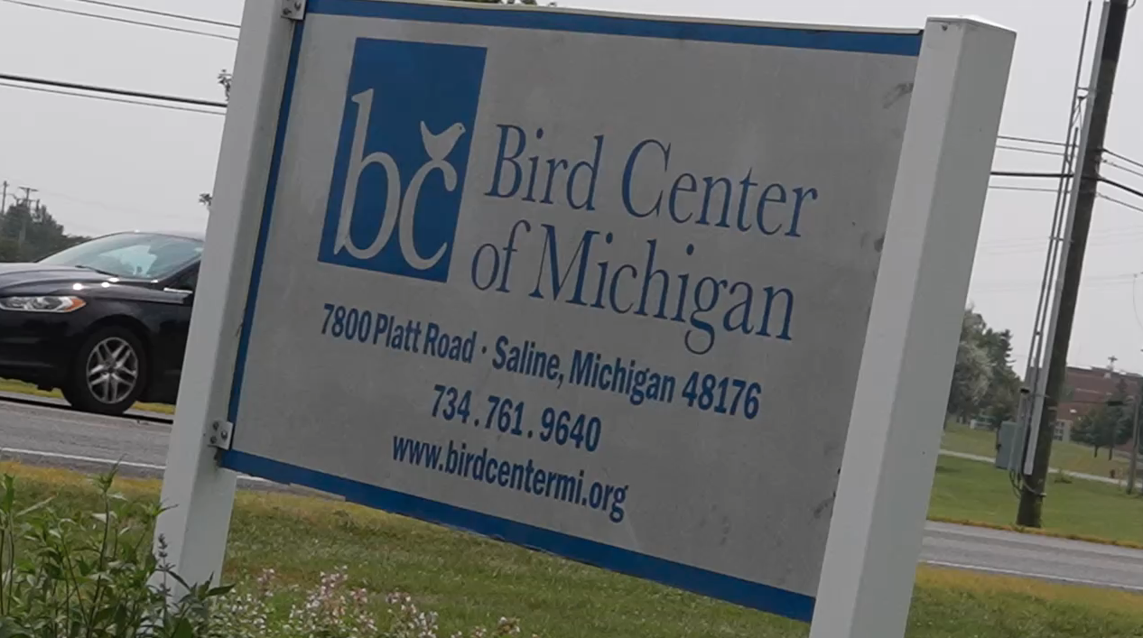 Bird Center of Michigan