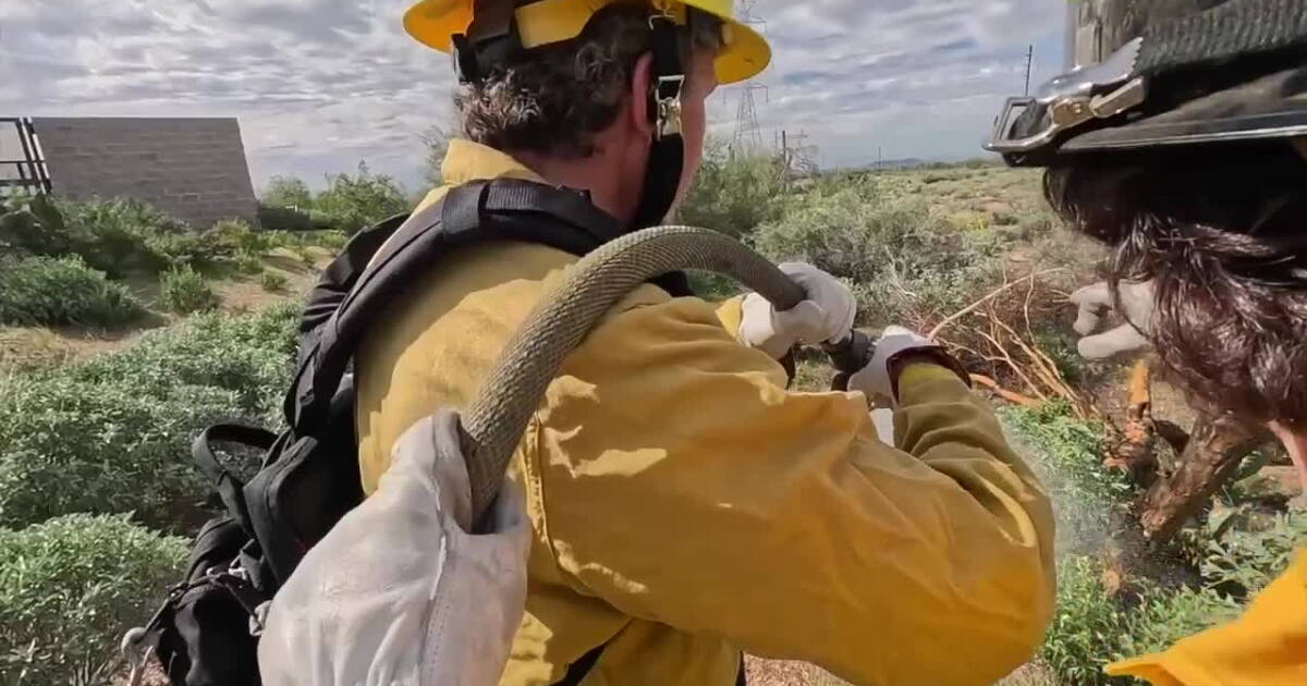 Scottsdale Fire Department trains wildland crews and community leaders on wildfire prevention techniques