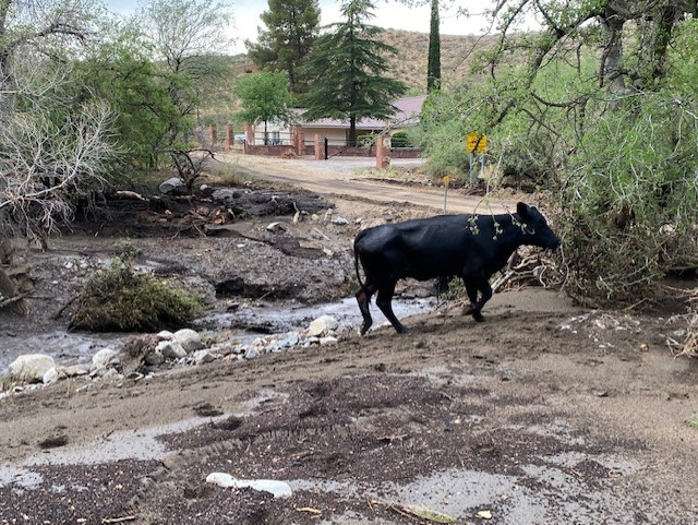 State Representative David Cook 2.png