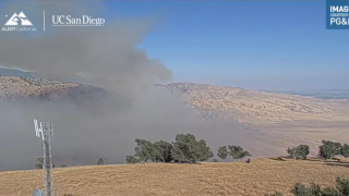 BUZZARDFIRE.png