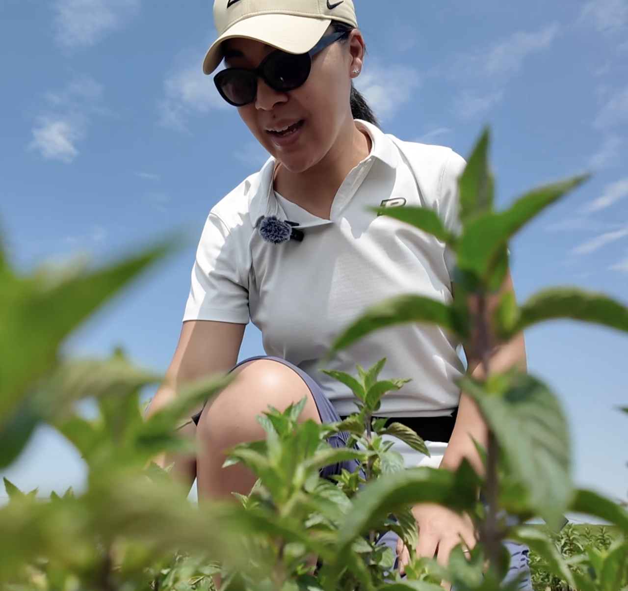 Screenshot 2024-06-21 at 12.04.03 PM.png