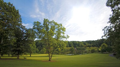 Summer park