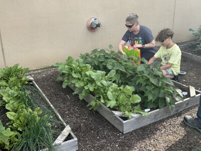 Garden outside of Cleveland Clinic Children's in Akron