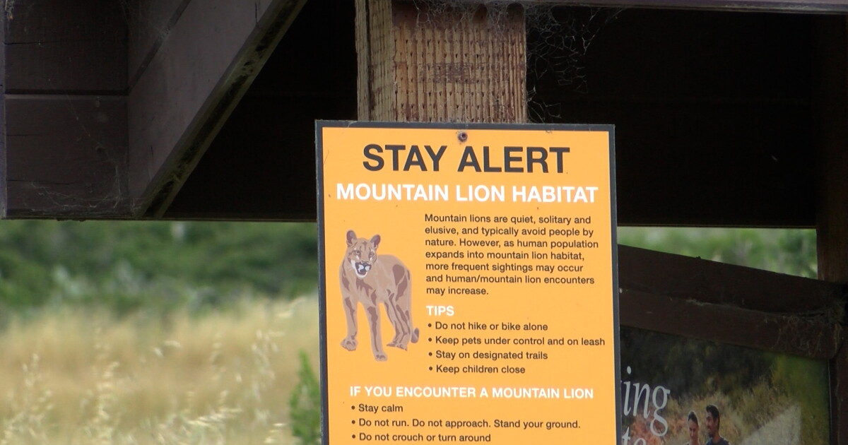 As weather warms up, wildlife sightings increase - Vimarsana News