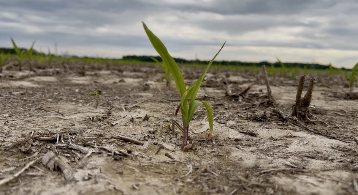 Crop damage