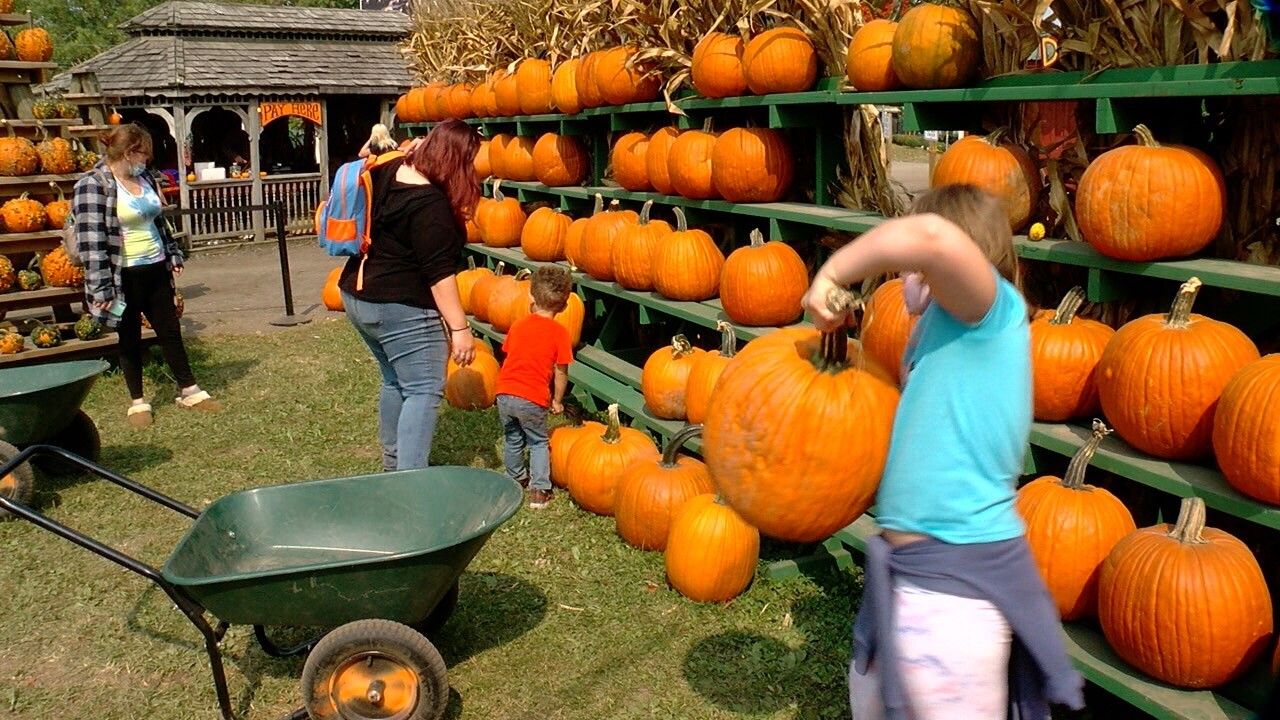 0922 WHEEL PHALLOWEEN_REILLY.jpg