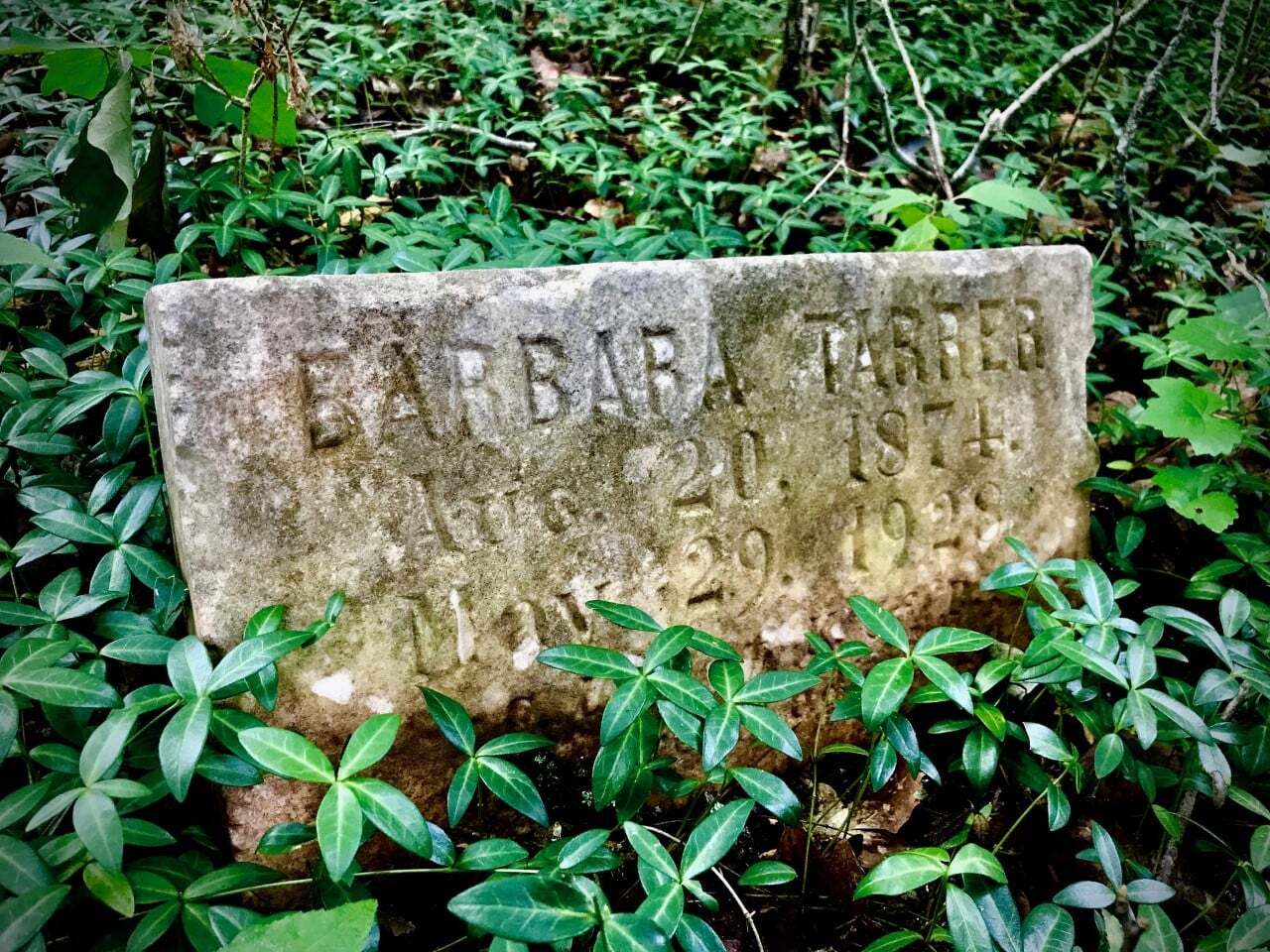 IHAS Hickory Hill Cemetery 4.jpg